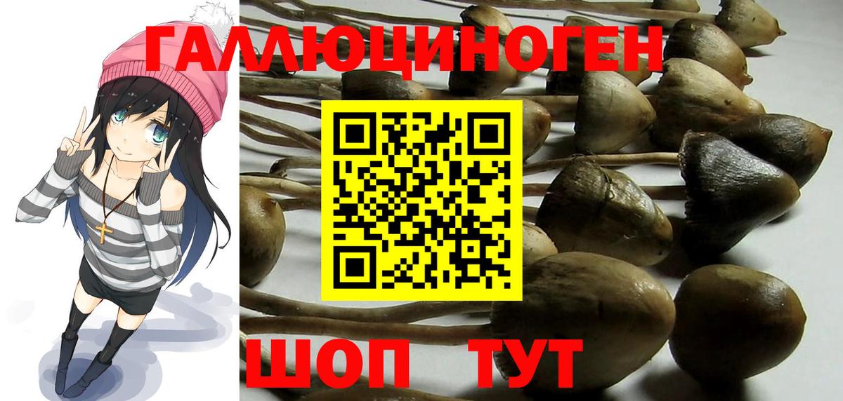 Бугуруслан  даркнет сайт  Вход с VPN  Псилоцибиновые грибы Psilocybe 